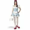 Miss Dorothy Teen Costume