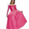 Sleeping Beauty Aurora Costume