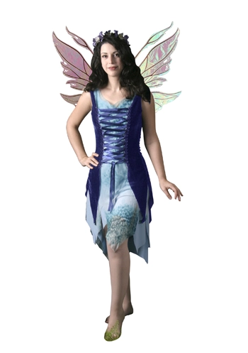 Blue Fairy Adult Costume 1 Blue Fairy Adult Costume
