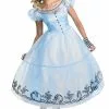 Alice In Wonderland Movie Deluxe Costume