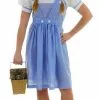 Adult Dorothy Costume Dress