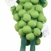 Adult Green Grapes Costume