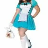 Plus Size Enchanted Alice Costume