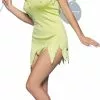 Fairy Costume